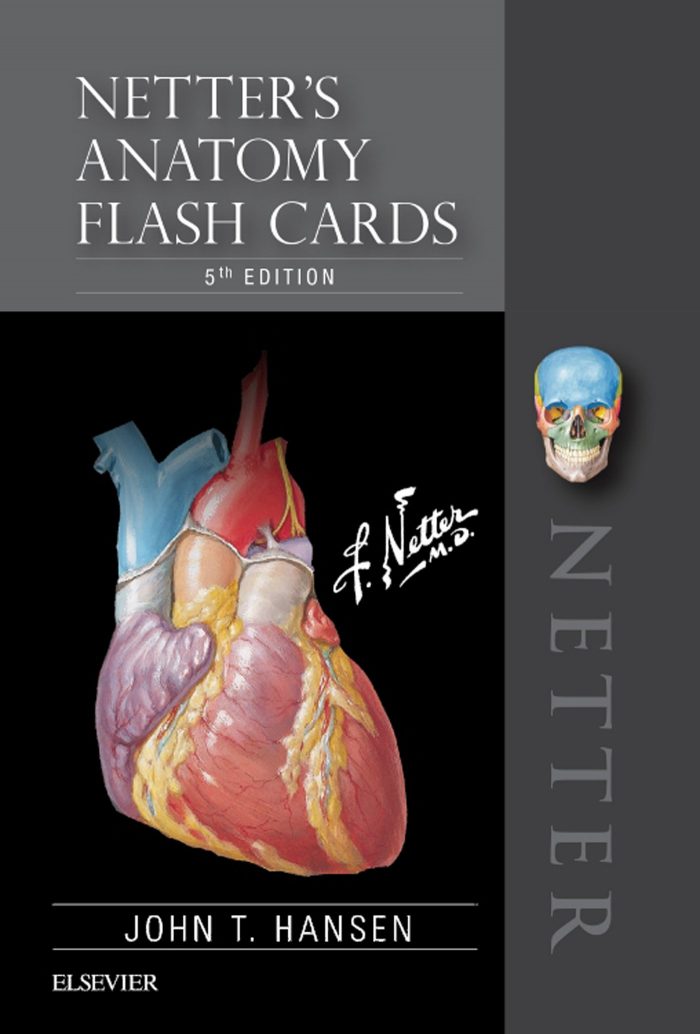 Netter's Anatomy Flash Cards (Netter Basic Science)