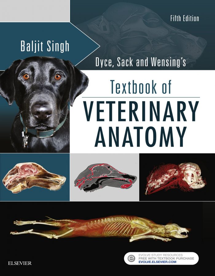 Dyce, Sack and Wensing's Textbook of Veterinary Anatomy