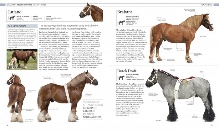 The Horse Encyclopedia - Image 3