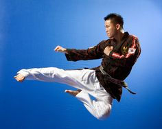 Image result for Myung Yong Kim & Chang Soo Lee - Hapkido Self - Defense vol. 2"