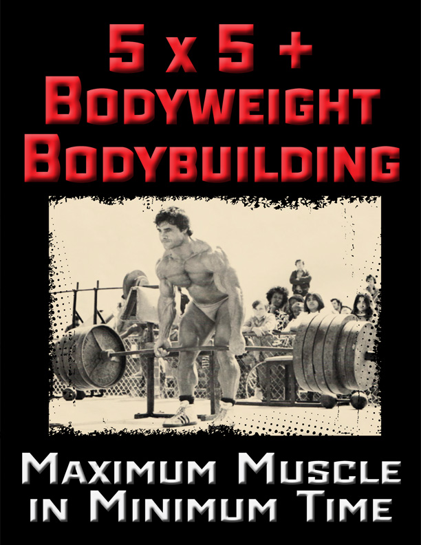  /></a></p><p><strong>5 X 5   Bodyweight Bodybuilding ($97 Value)</strong> — <strong>For the meatheads out there who can’t let go of the barbell or want to add barbell work AFTER finishing Bodyweight Bodybuilding, this is for you.</strong></p><p><strong>In this Bonus course you’ll get the following:</strong></p><ul><li>8 Week Training Cycle of 5 X 5   Bodyweight Bodybuilding Workouts</li><li>15 Barbell Lifts to Choose From</li><li>Program Design Strategies for 5 X 5 Coupled with Bodyweight Bodybuilding</li></ul></div><h2>As you can clearly see, I’ve gone through the pain & suffering so YOU don’t have to.</h2><p><strong>I’ve done ALL the leg work, researching and experimenting on myself and my athletes, finding the best of the best, getting them to reveal their most closely guarded secrets and compiling EVERYTHING together into One Complete System, valued at $345….</strong></p><p>Not to mention the physical & emotional pain you’ll be saving yourself from, which we simply can NOT put a price value on. Your Health is PRICELESS.</p><p><strong>Now is your opportunity to snag The Entire ‘Bodyweight Bodybuilding’ course for a fraction of what it’s worth for a one time payment of $47….</strong></p><p><a href=