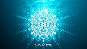 Digital C60   Pineal Awakening   Digital CBD