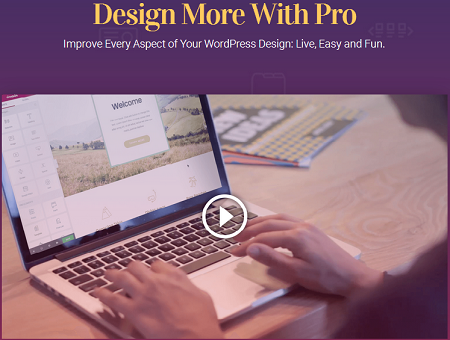 Elementor Pro - Improve Every Aspect of Your WordPress Design Live, Easy and Fun 