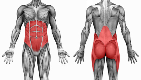  /></div><p>See, the big picture of Global Ab Targeting is to <strong>put stimulus on the entire chain of the core musculature in an effort to shape the entire chain of muscles, not just the abdominals.</strong></p><p>So the trick is, to consistently place enough stimulus on the Global Ab Muscles in order to shape them the way we want them…</p><p><strong>And here’s how to do it:</strong></p><div><h3>1. Contract the Diaphragm <em>First</em></h3><div><img src=