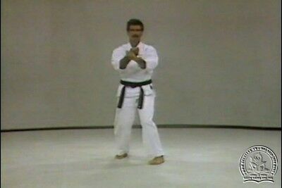 Image result for Rod Mindlin - Okinawan Uechi Ryu Karate Series"
