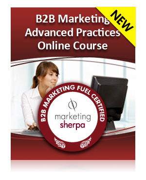B2B Marketing Advanced Practices