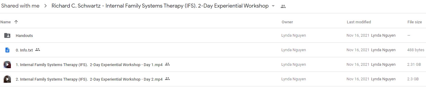 Richard C. Schwartz - Internal Family Systems Therapy (IFS). 2-Day Experiential Workshop2