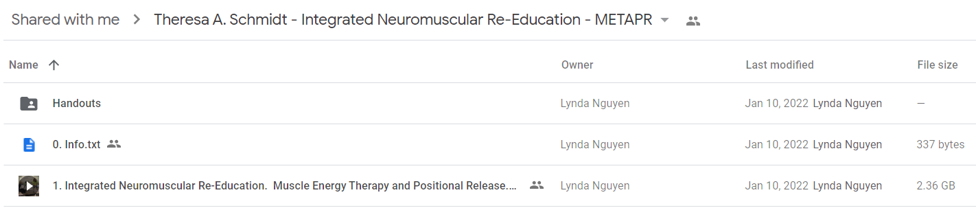 Theresa A. Schmidt - Integrated Neuromuscular Re-Education2