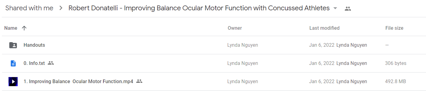 Robert Donatelli - Improving Balance Ocular Motor Function with Concussed Athletes1Robert Donatelli - Improving Balance Ocular Motor Function with Concussed Athletes1