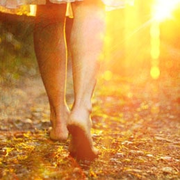  />Are you familiar with your grounding cord? You might not be making use of its full potential. By the end of this class, you will be.</p><p><strong>Your grounding cord is the basis of all your intuitive powers.</strong> Without it, you run the risk of absorbing energy around you, losing your sense of self, feeling confused, getting stuck in your head, and more.</p><p>A strong grounding cord is essential for keeping your upper-body and lower-body intuition balanced and healthy.</p><p>In this class, Wendy will share:</p><ul><li>Why it’s so important to <strong>deepen your intuition</strong></li><li>How the 4 clairs relate to the chakras</li><li>Why <strong>grounding is essential </strong>for all 4 clairs</li><li>How to ground your energetic body</li></ul><p><strong>Guided Healing: </strong>Wendy will lead you to release energy in the lower body that’s keeping you from feeling grounded.</p><h3><strong>Week 2: Clearing Early Woundings & Patterns in Your Lower Body</strong> (July 17)</h3><p><img src=