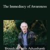 Adyashanti - The Immediacy of Awareness