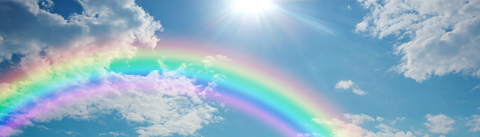  /></p><div><blockquote><div><p>Dawn Crystal’s healing energy is amazing! The first time that we spoke it was unrelated to her gift. At the conclusion of our call, I told her that I felt so much positive energy pouring through the phone and that I’ve never experienced that before.</p></div><div><p>That’s when I learned of her gift and I immediately booked a session with her.</p></div><div><p>She helped me clear and shift blocked energy that kept me stagnated in certain areas of my life for more than 10 years. In less than 2 months of working with Dawn Crystal, my life was transformed with ease and grace! Dawn is a gifted healer. Step into her world and prepare for your transformation.</p></div></blockquote></div></div><div><p>Sandy O.</p><div><h1>Sound Energy Voice Healing with Dawn Crystal</h1><div><p><img src=