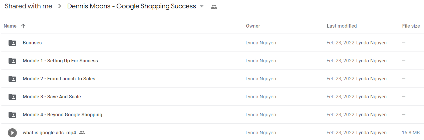 Dennis Moons - Google Shopping Success1