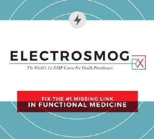 Nick Pineault – Electrosmog Rx – EMF Health Solution