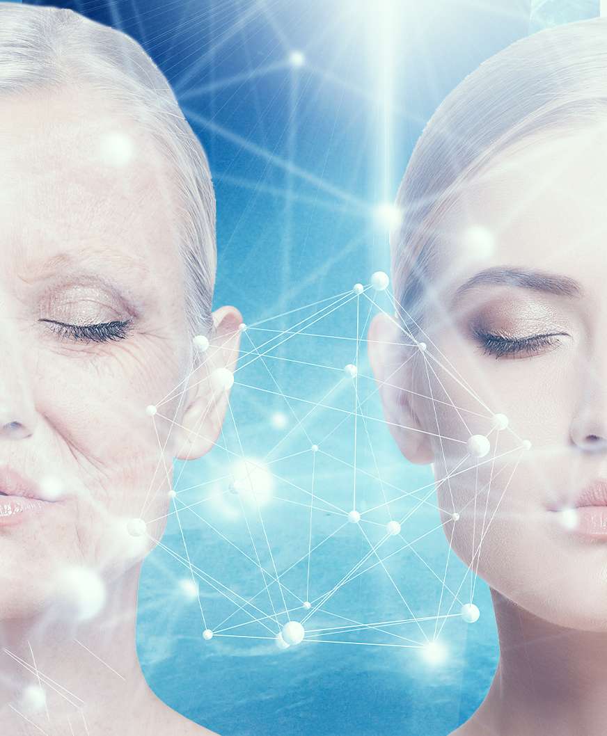 Mindvalley, Ben Greenfield – The Longevity Blueprint 2019