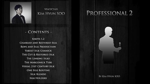 Kim Hyun Soo – Professional 2.
