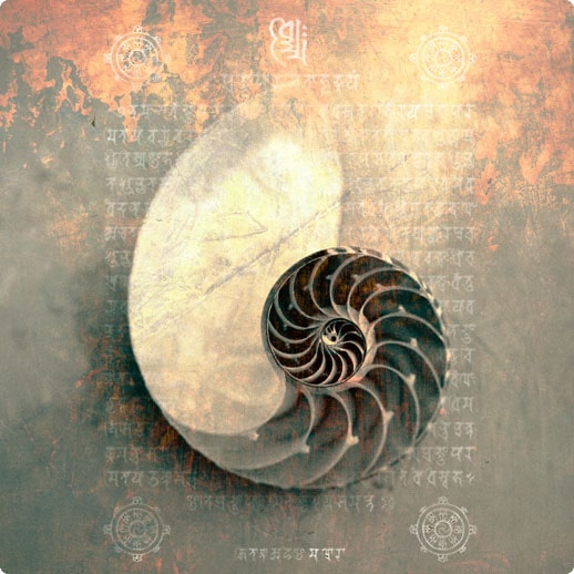  />One of the oldest forms of energy healing are found in the Vedic sutras…</p><p>And now, you can unlock these mystical scriptures to clear energy blocks in your mind and body… and transform your entire energy field.</p><p>These potent spiritual vibrations are divine frequencies that will activate your next level of healing and transformation.</p><p>When “seeded” in the fertile ground of your consciousness, the sacred phrases of the Sutras evoke in you the power of ancient, awakened lineages…</p><p>And, you don’t have to become a Vedic scholar to transform your energy field and life through the sutras… <strong>or connect with the spiritual guides that are standing by to help and protect you!</strong></p><p>Through simple — yet powerful — sutra practices, you’ll be empowered to release stories that are thwarting you… and clear any blocks to your intuitive and psychic abilities.</p><p>The Vedic sutras, seen as divinely inspired revelations, were received by ancient sages after intense meditations, preserved and passed on for thousands of years.</p><p>Renowned for her ability to make esoteric teachings accessible and practical (and fun!), energy medicine pioneer and <em>New York Times </em>bestselling author Deborah King distills this remarkable ancient knowledge to help you apply it to your modern life.</p><p>In this journey, <strong>you’ll be initiated into 20 powerful Sutras, the mystical phrases from the ancient Hindu Vedas</strong>, that hold the key to accessing the higher realms of consciousness and unleashing the magnificent gifts and powers that are your birthright.</p><p><img src=
