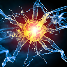  /></p><div><ul><li>End food addictions</li><li>End binge eating, emotional & stress eating</li><li>End the plateau</li><li>Clear entities that contribute to weight gain</li><li>Liver, gallbladder and gut bloating</li><li>Clear past lives such as issues with starvation & deprivation that keep on extra pounds</li></ul></div></div></div></section><section><header><h1><img src=